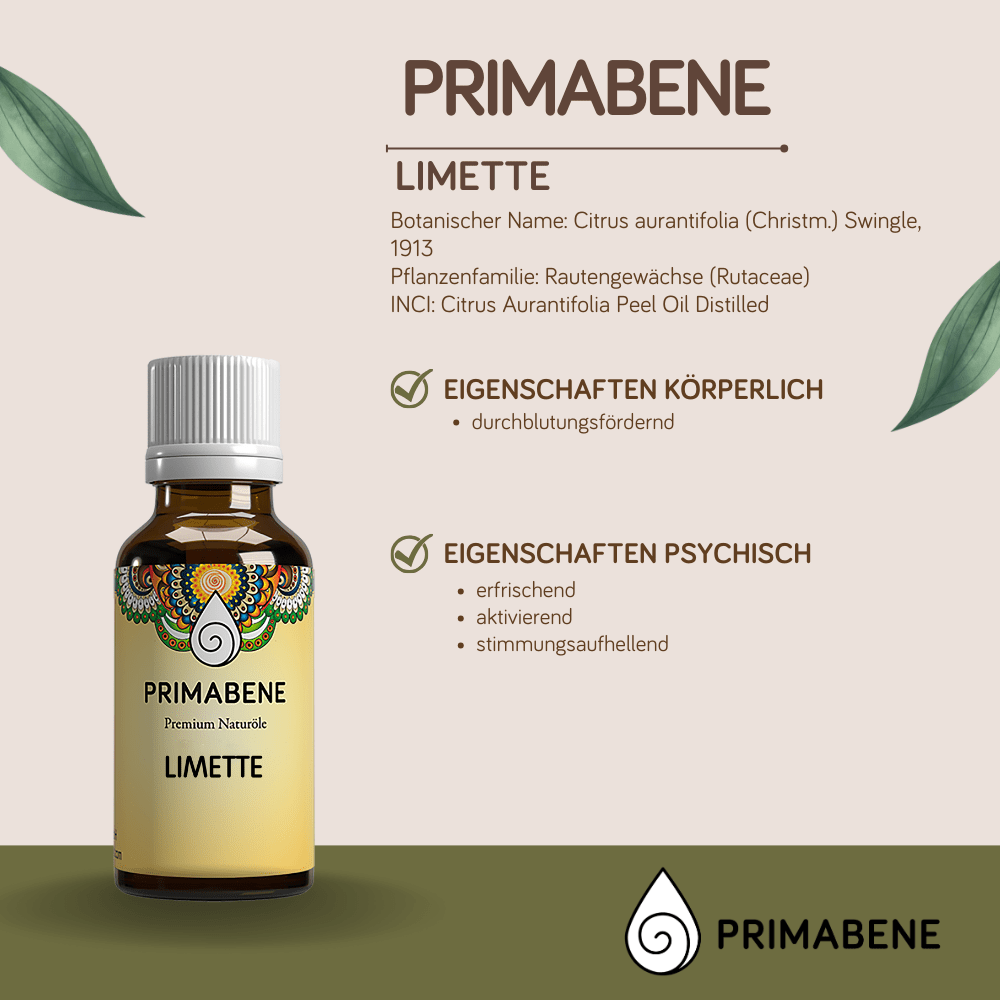 Bild von Limette, 100% rein ätherisches Öl